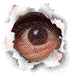 eye75.gif (8619 bytes)